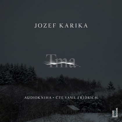 Audiokniha Tma - Vasil Fridrich, Jozef Karika