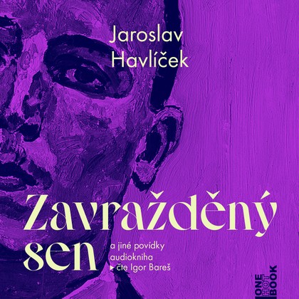 Audiokniha Zavražděný sen a jiné povídky - Igor Bareš, Jaroslav Havlíček